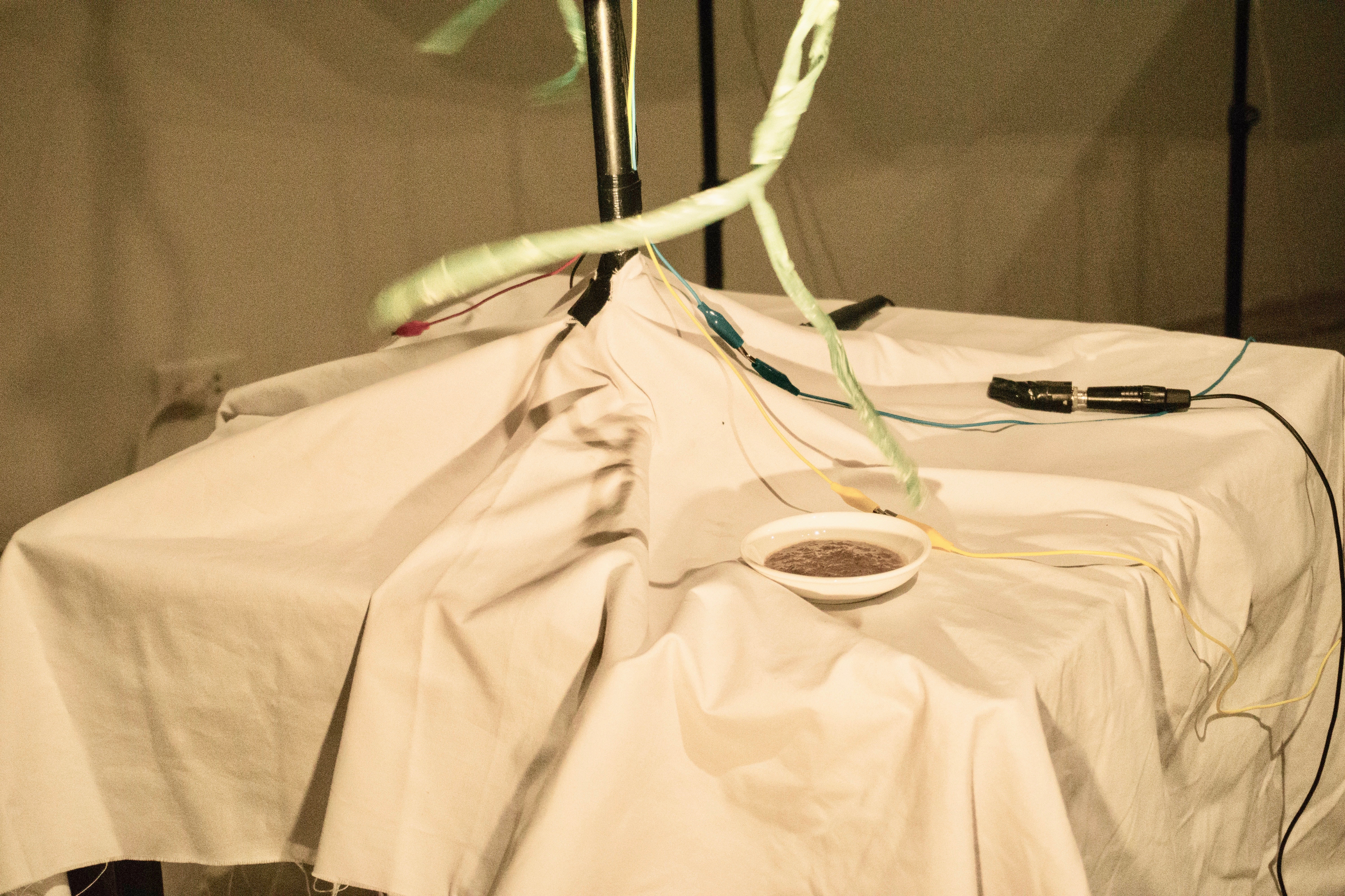 sonate mắm tôm_cận cảnh_credit nguyễn Đức tùng