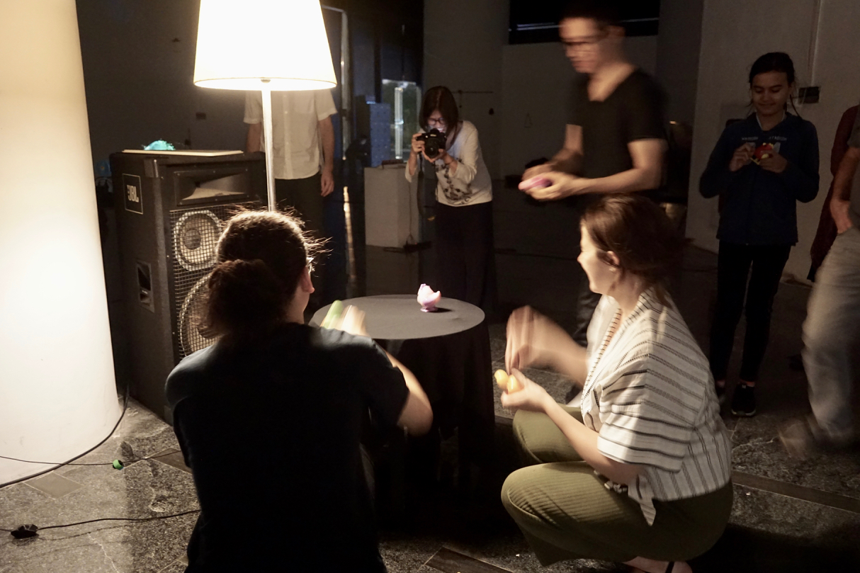 Chicken and turtle 1