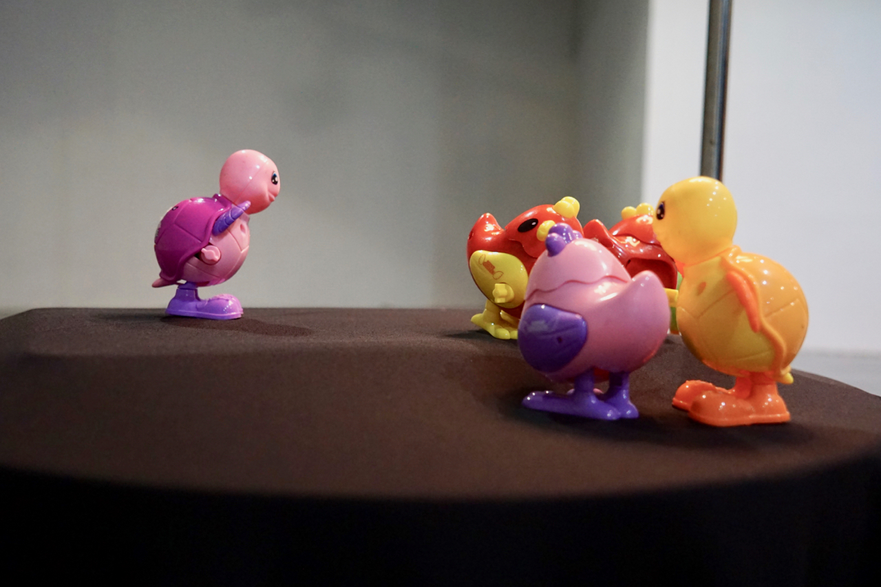 Chicken and turtle upclose